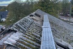 IMG-20221109-WA0005